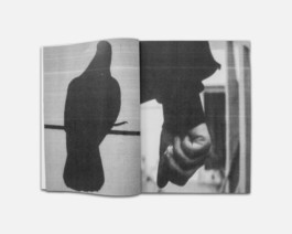Magazine about local and creative people living in the avenue de France in Lausanne. Creating collaboration between and with them.