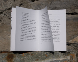 Editorial transcription of the poetic texts’ performance