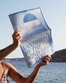 Pearly Skin, Summer Hit, Vanished by The Wind Cover