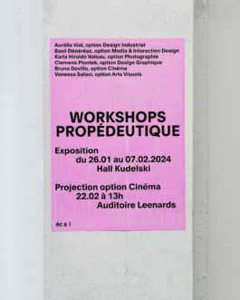 Poster for the Foundation's year workshop