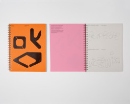 First pages of the workbook