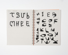 Modular typefaces