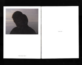Cover of the Vac'zine