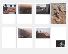 Main pages of the Vac'zine