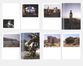 Main pages of the Vac'zine