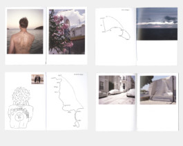 Main pages of the Vac'zine